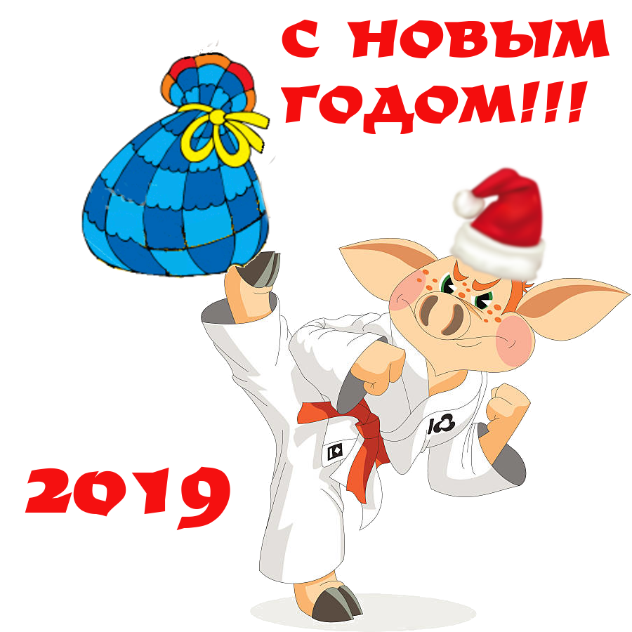 new_year_2019