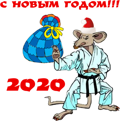 NEW_YEAR_2020